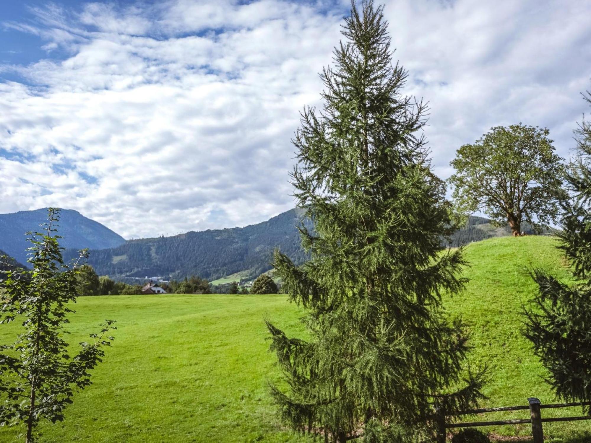 Naturpark Chalet Schladming-Dachstein Grosssolk 외부 사진